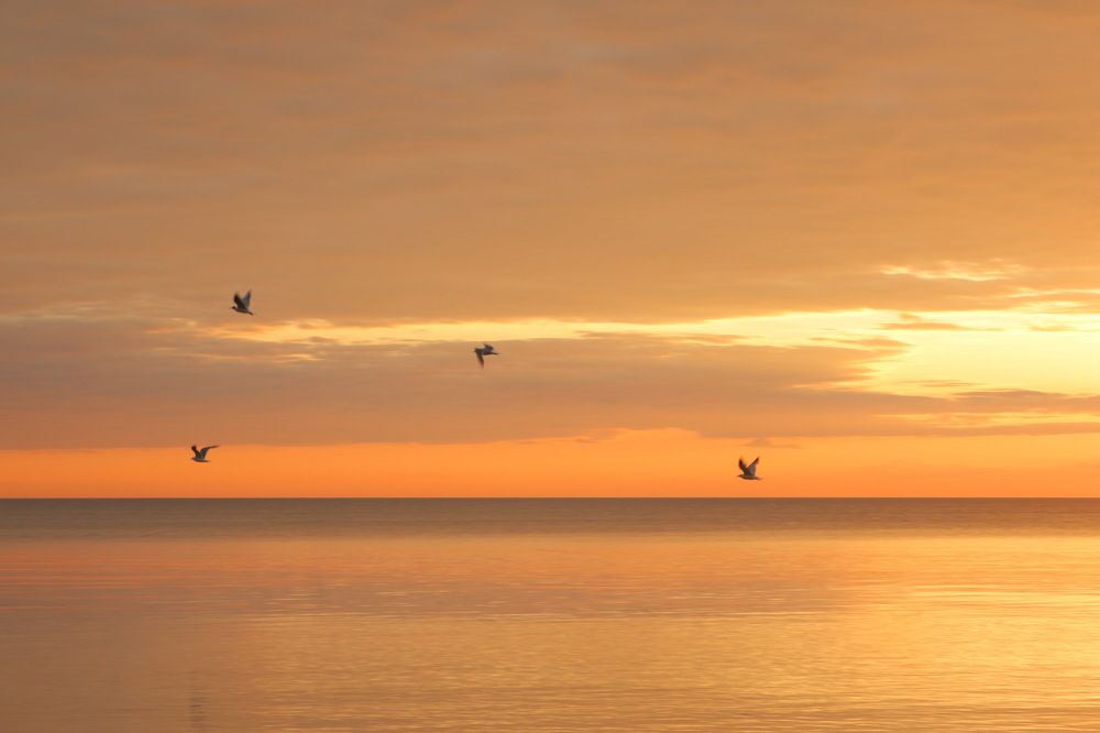 Photograph by Alecsandr Sarbaev