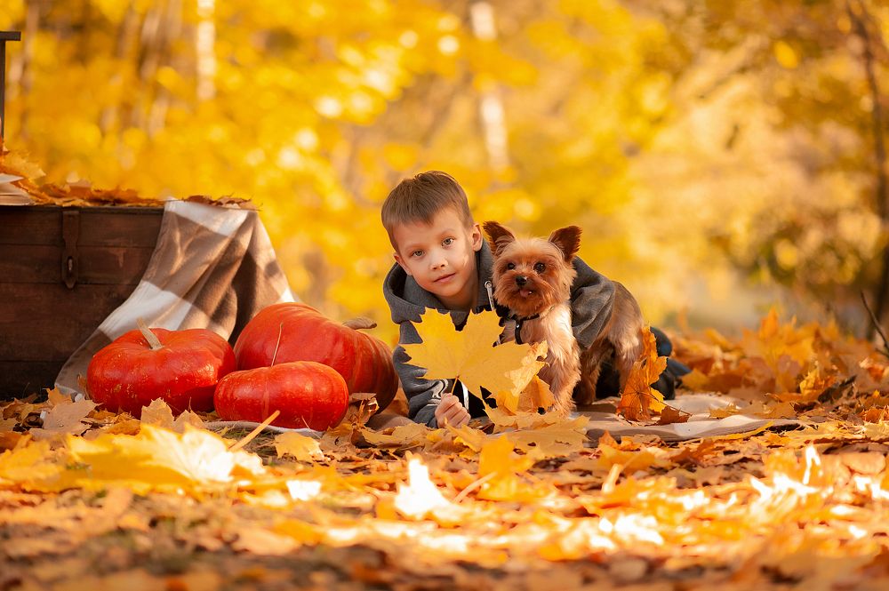 Photograph by Виктория Андреева