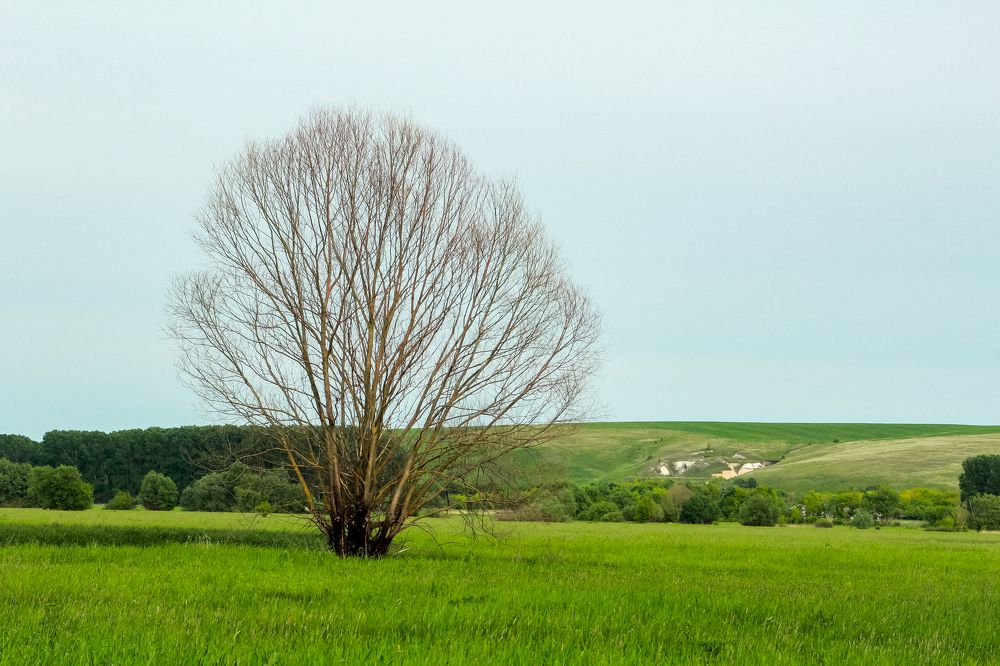 Photograph by Денис Копкин