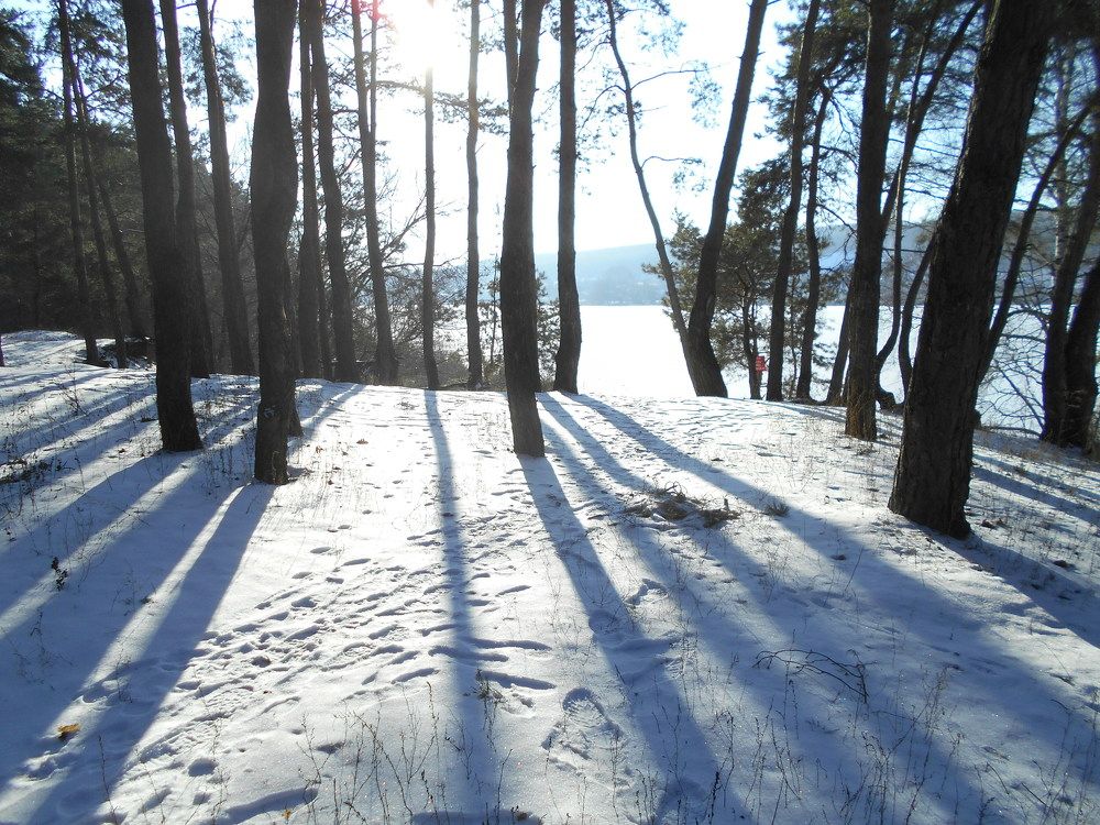 Photograph by Наталья Галай