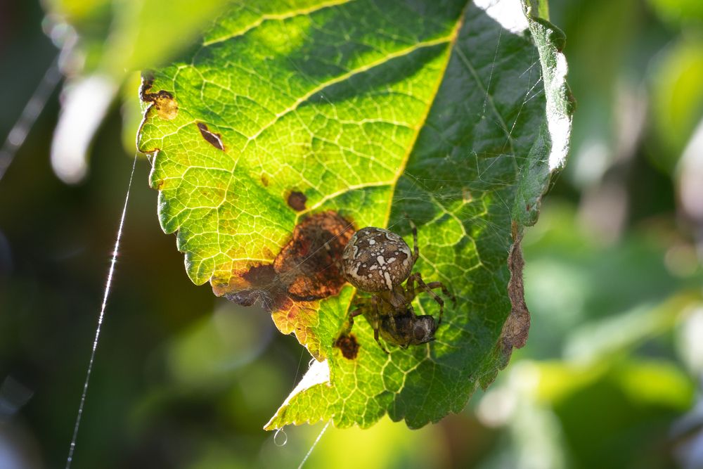 Photograph by Андрей Валерьвич