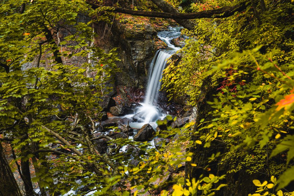 Photograph by Влад Дышливенко