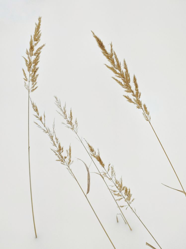 Photograph by Наталья Егорова