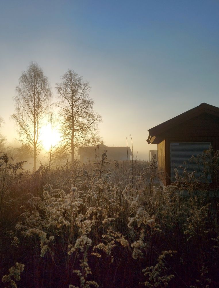 Утро туманное