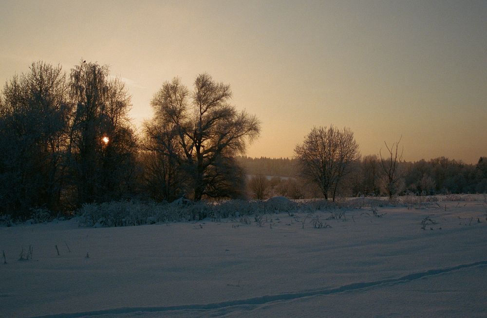 Photograph by Ольга Корнакова
