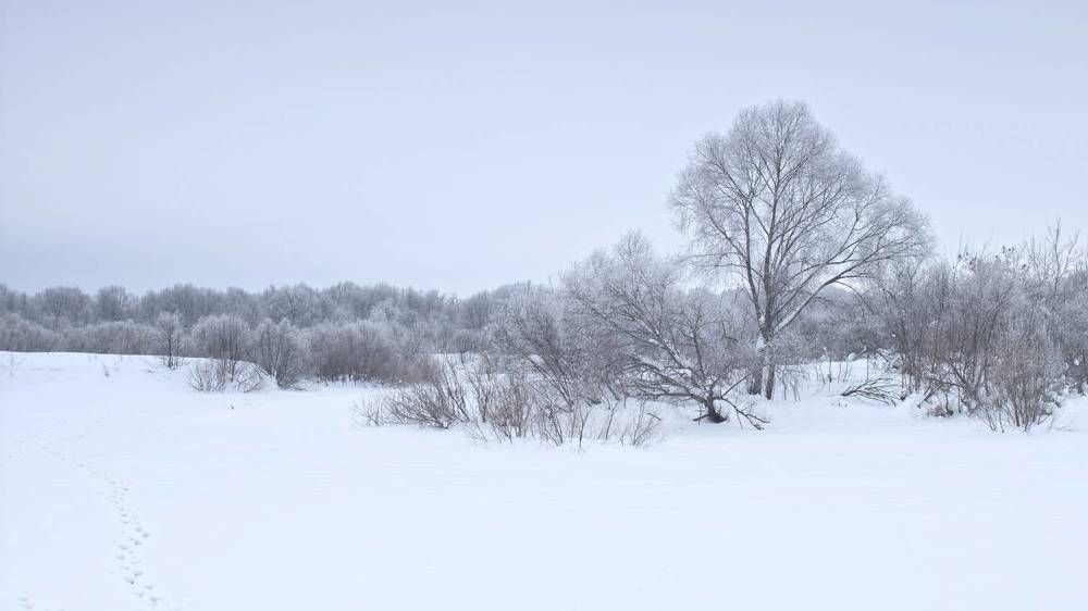 Photograph by Николай Чичерин