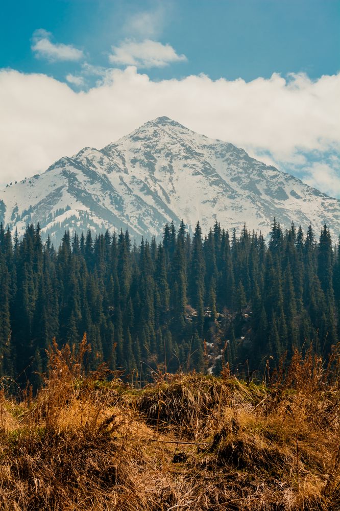 Photograph by Юлия Подлеснова