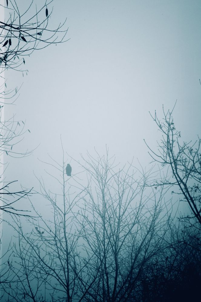 Photograph by Ольга Яценко