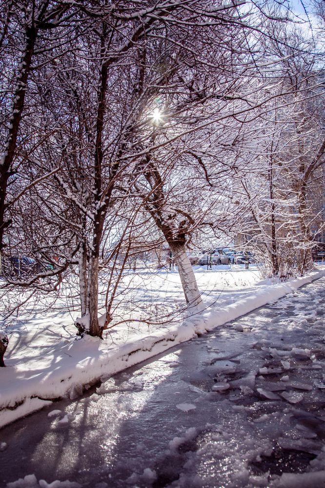 Photograph by Ольга Кучаева