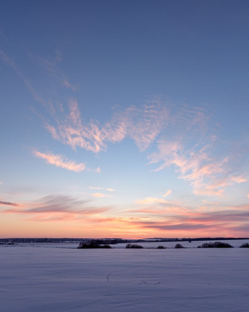 Photograph by Михаил Косачёв