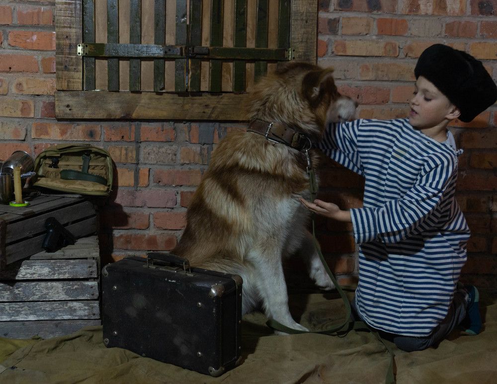 Дай Норд на счастье лапу мне