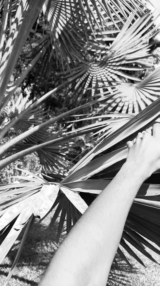 Photo #7098489