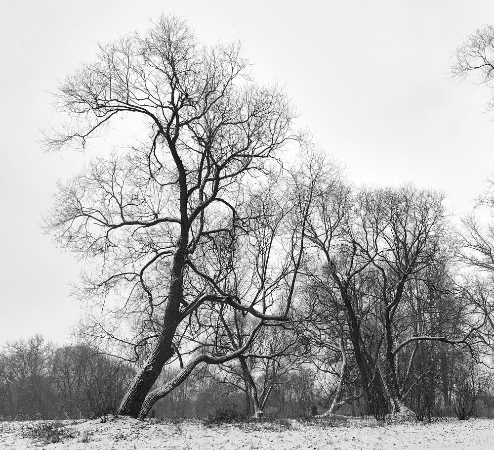 Photograph by Anton  Lavrentiev