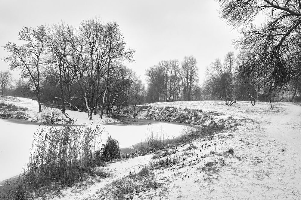 Photograph by Anton  Lavrentiev