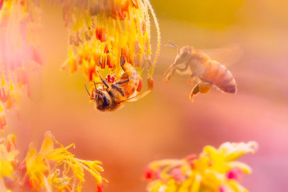 Photograph by Элина Васькова
