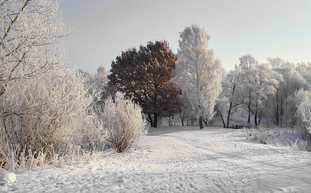 Photograph by Anton  Lavrentiev