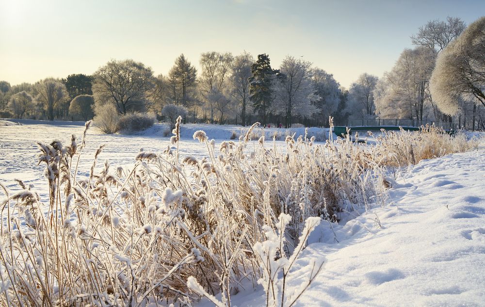Photograph by Anton  Lavrentiev