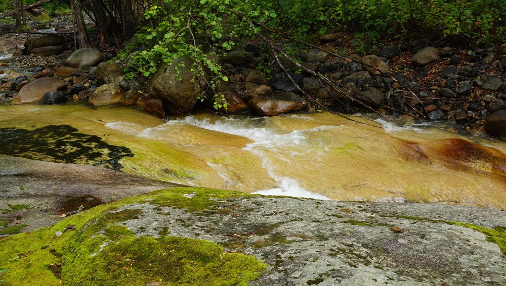 Photograph by Анна Самара