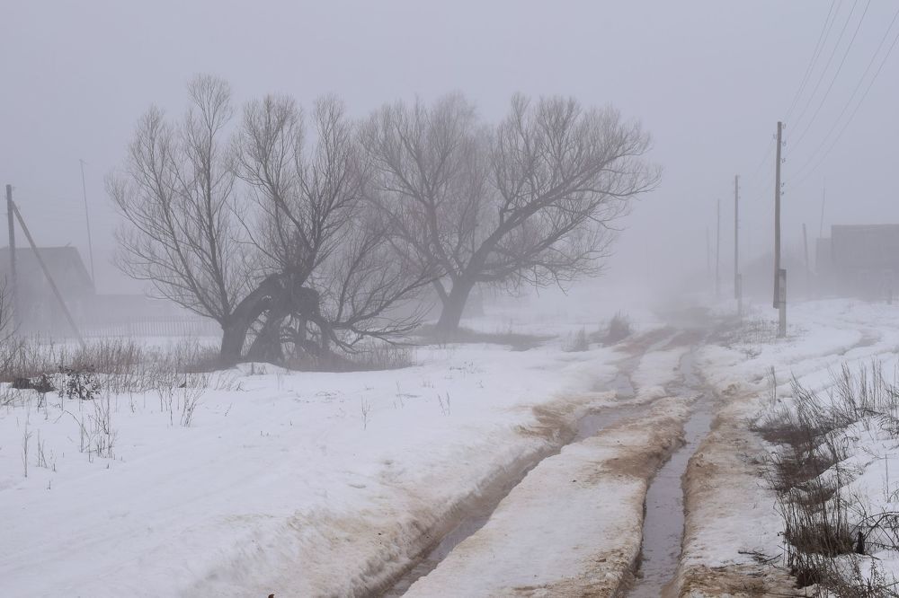 Бездорожье в тумане