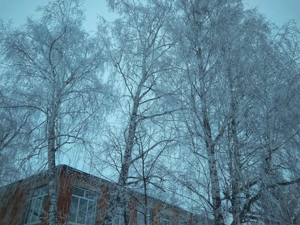 Photograph by Анастасия Игошина