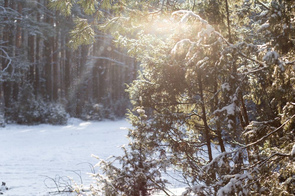 Photograph by Илона Федкович