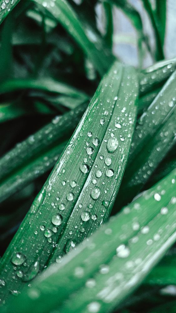 Photograph by Ксения Перетятько