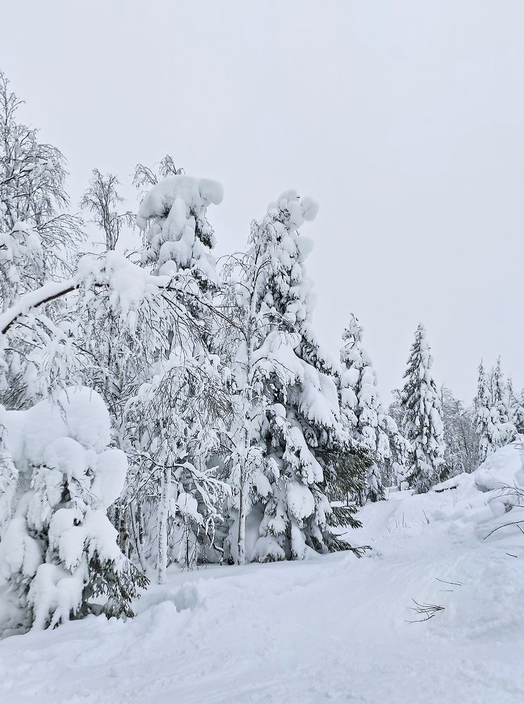 Фотография автора Чумаков Павел