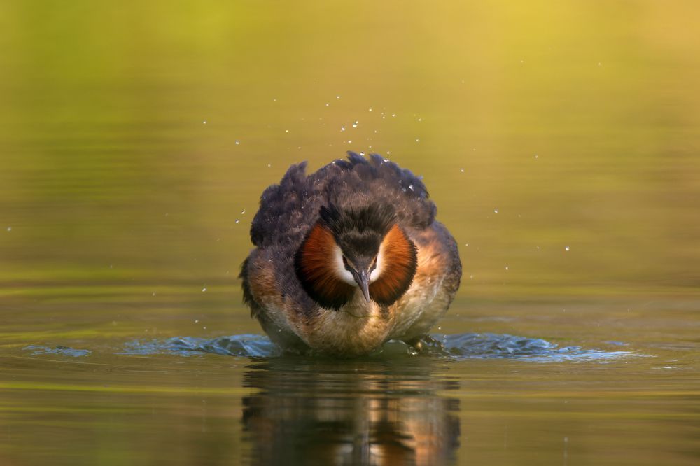 Photograph by Чурсина Виктория