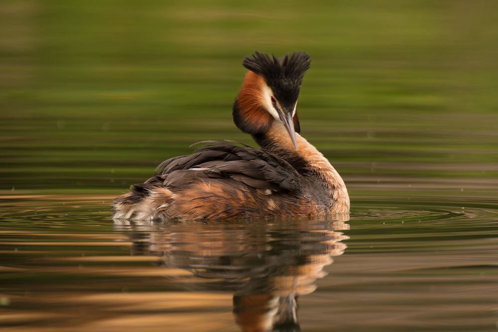 Photograph by Чурсина Виктория