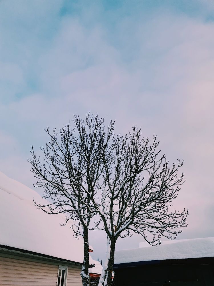 Photograph by Кристина Шацкая