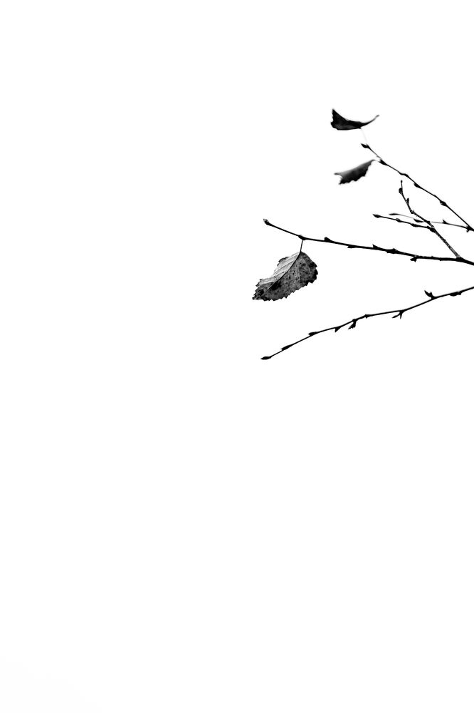 С чистого листа.