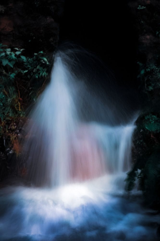 Photograph by Дарья Вега