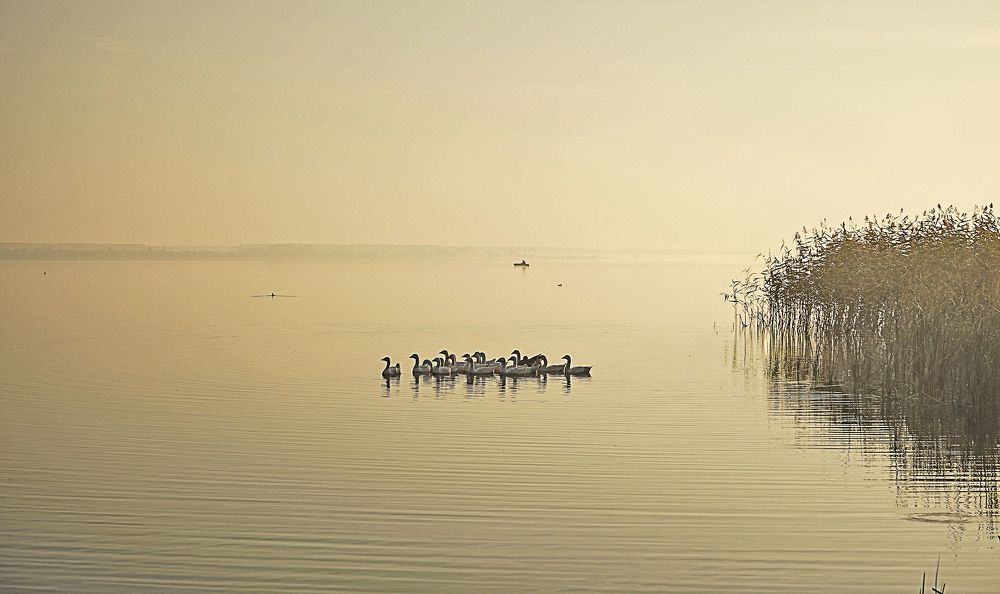 Photograph by Нина Будникова