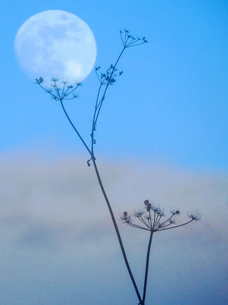 Photograph by Нина Будникова