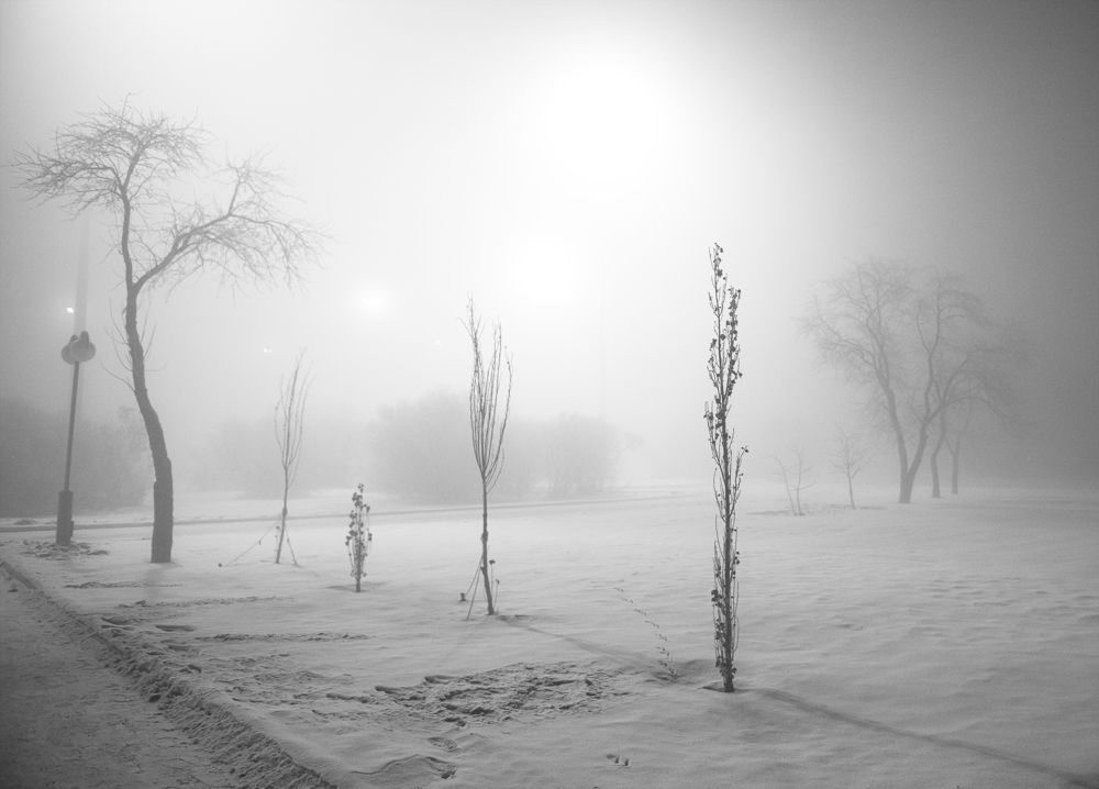 Photograph by БАРДЕНЦЕВ Александр