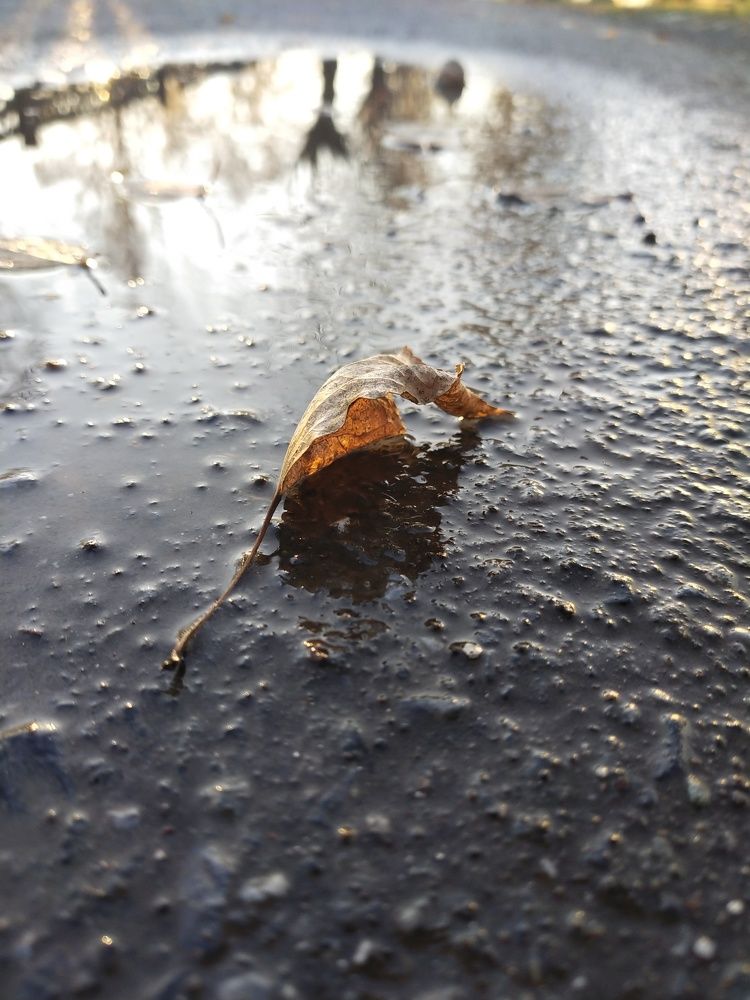 Photograph by Александра Лукашевич