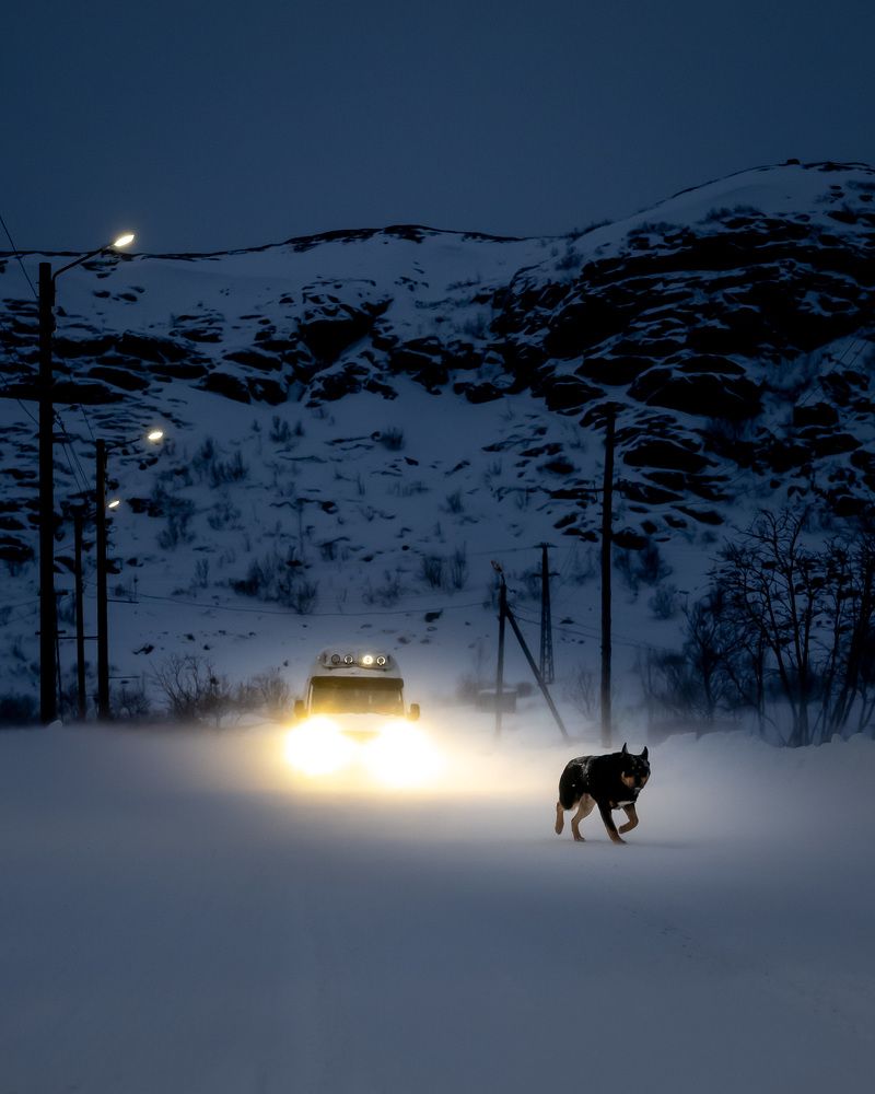 Photograph by Дмитрий Медведев