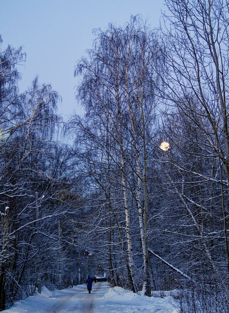 Photograph by Павел Кулинич