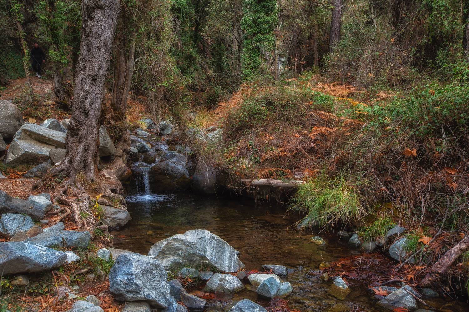 Фотография #7099188