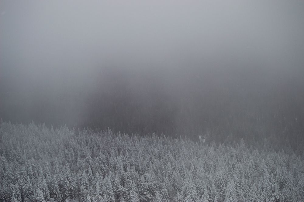 Photograph by Boris Burda