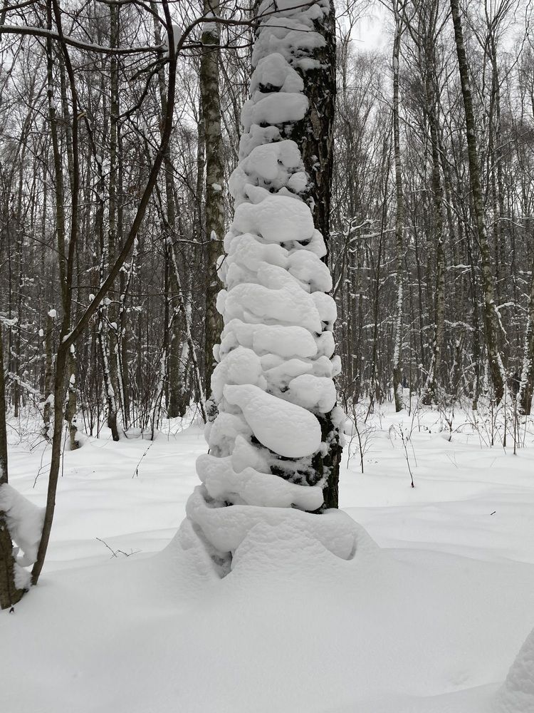 Photograph by Александр Феоктистов