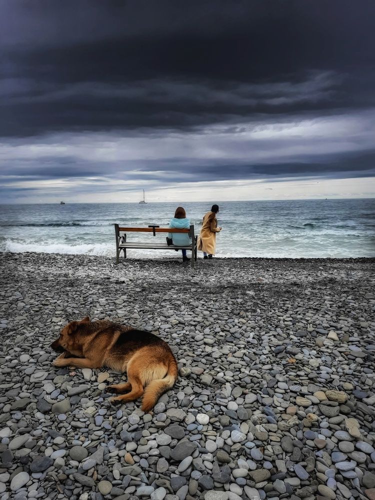 Photograph by Darya Вега