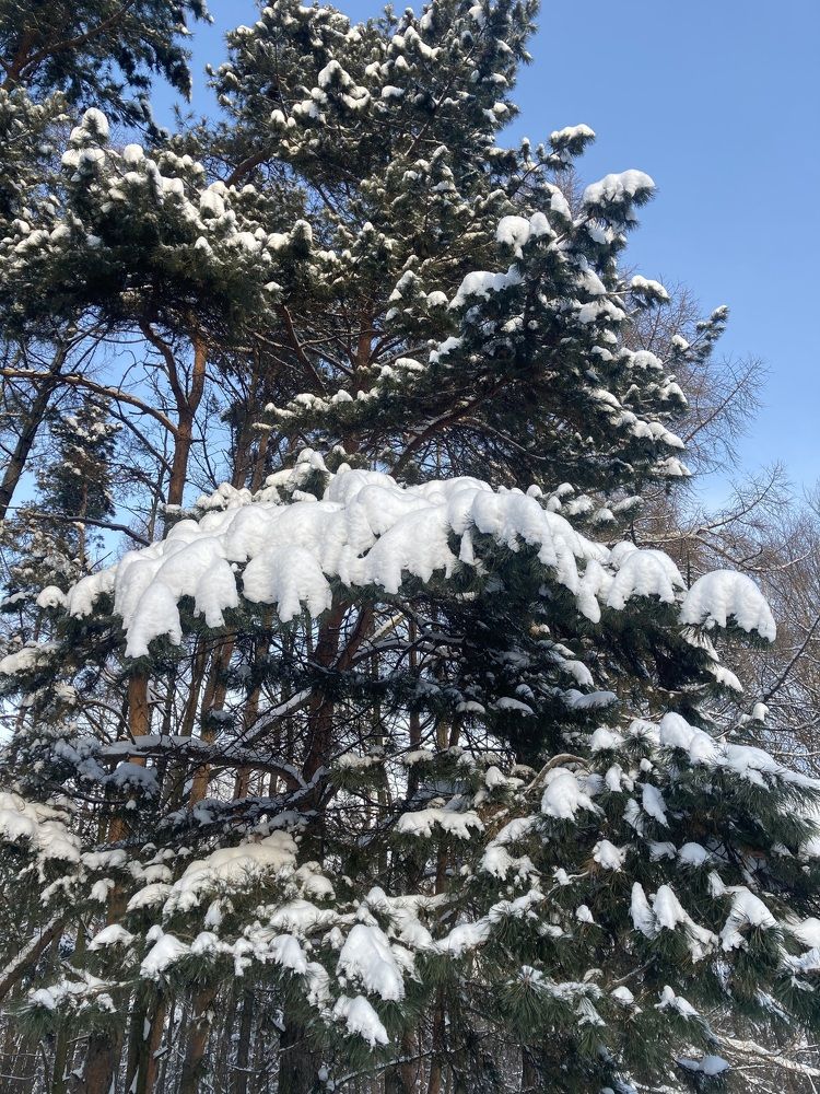 Photograph by Александр Феоктистов