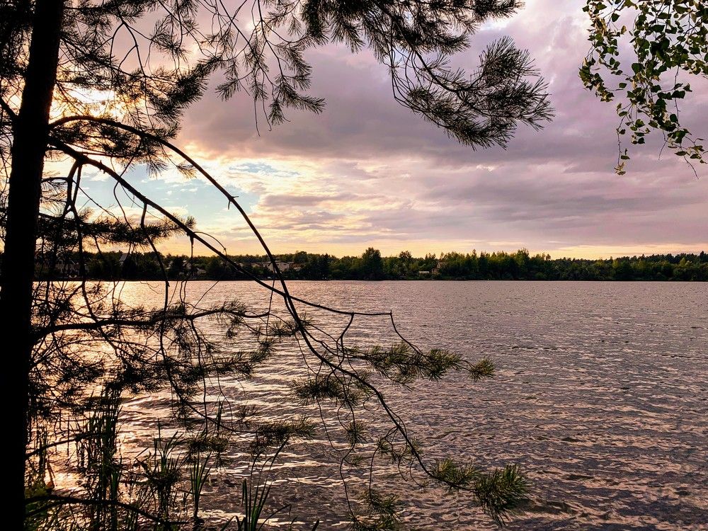 Photograph by Elena Lukashina