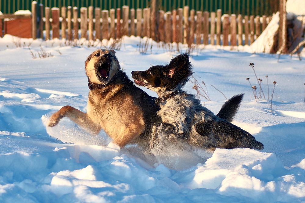 Photograph by Андрей Мольков