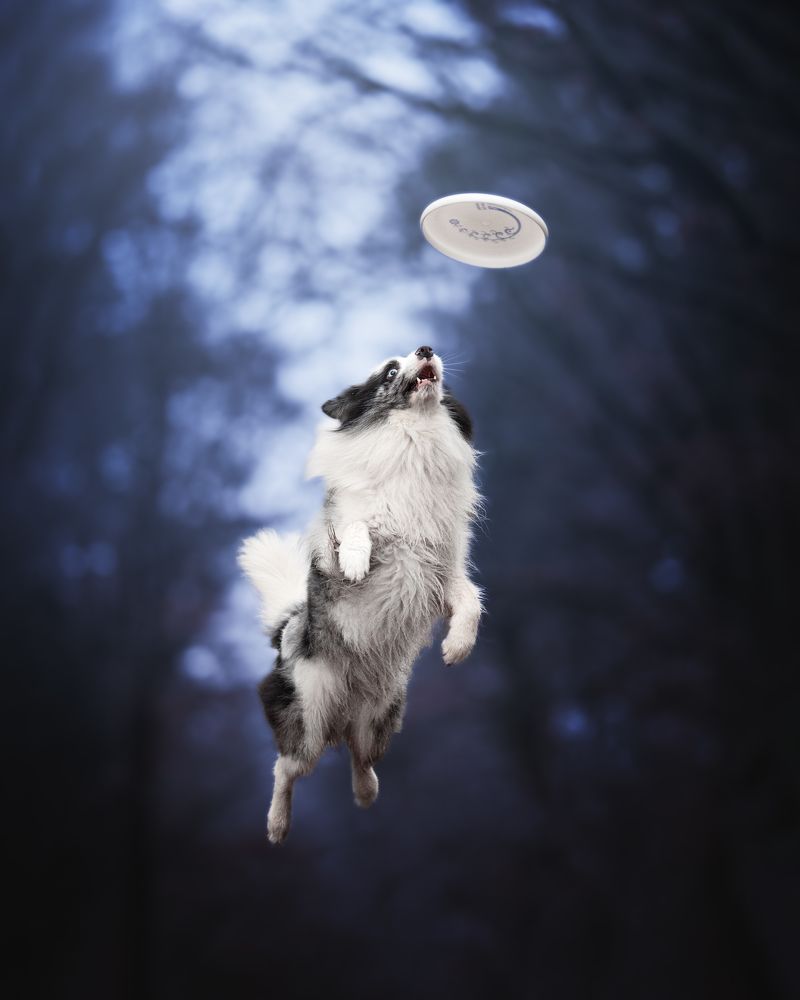 Photograph by Rosie Phang