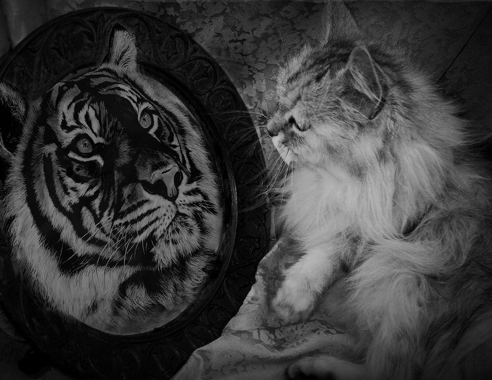 Photograph by Зоя Быкова