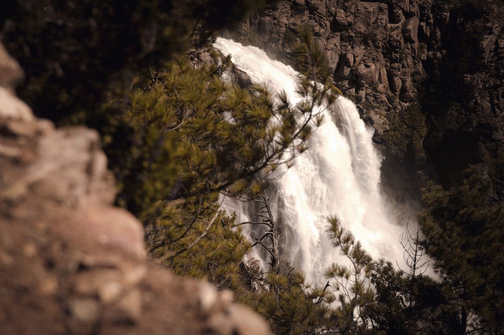 Фотография автора Ashok Acharya