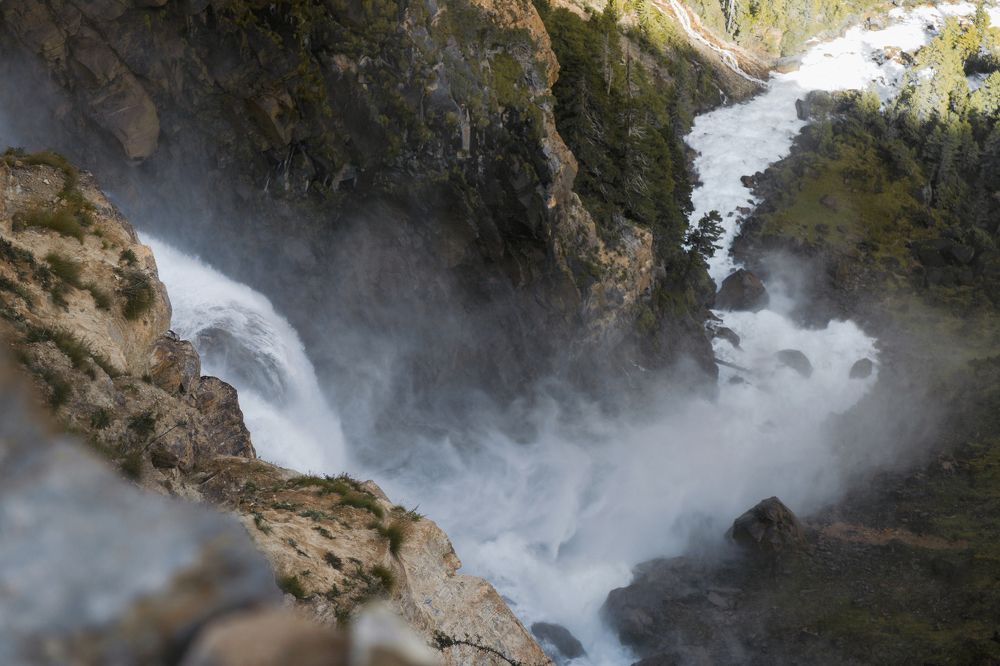 Фотография автора Ashok Acharya