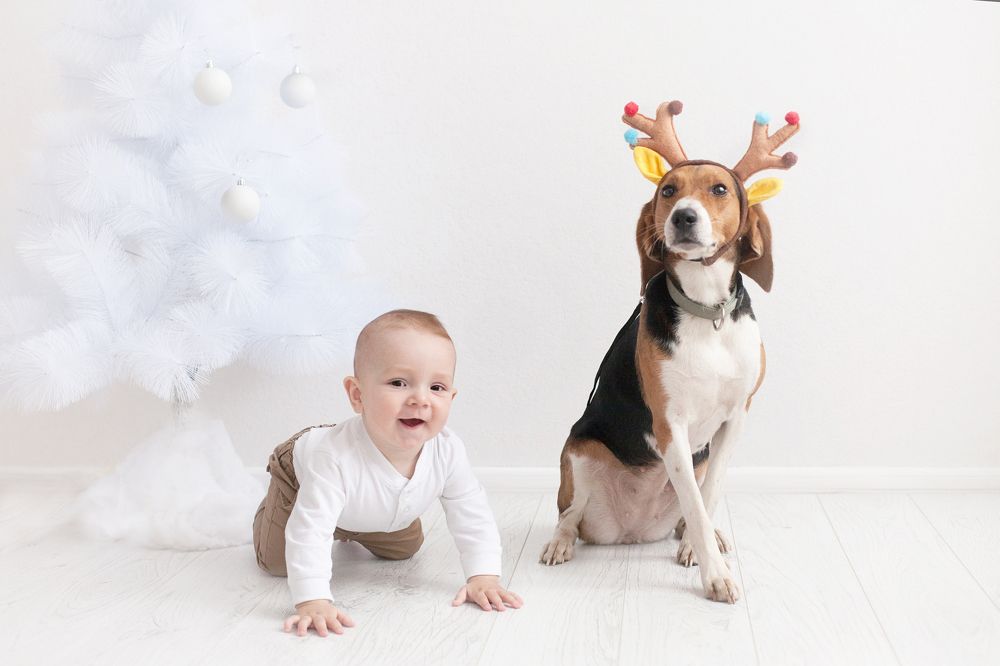 Photograph by Катя ГРИН